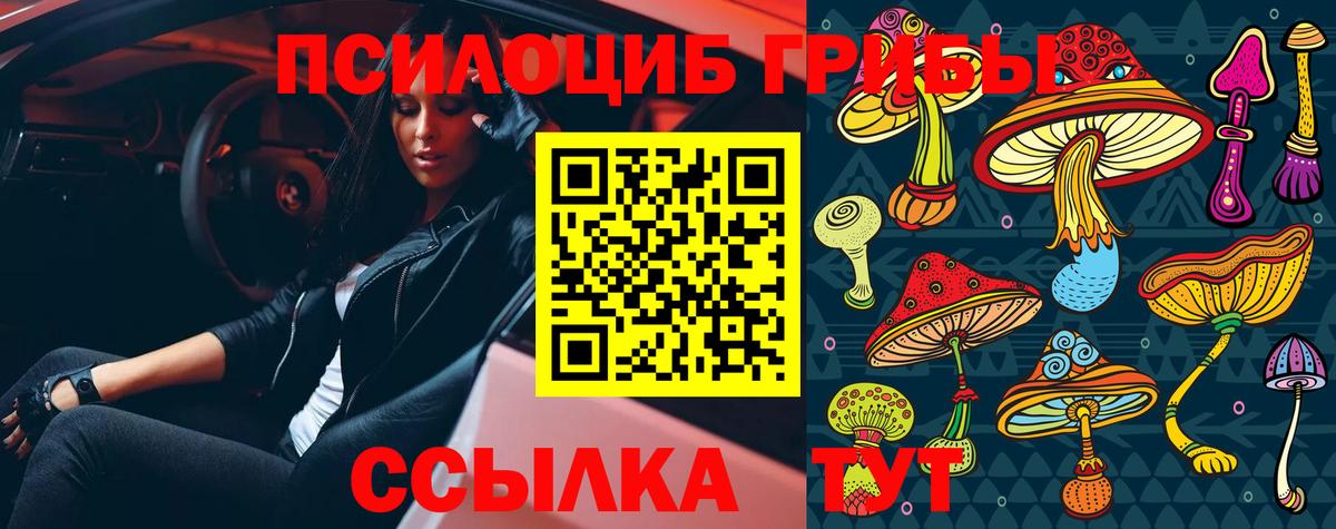 Псилоцибиновые грибы MAGIC MUSHROOMS Щёлково